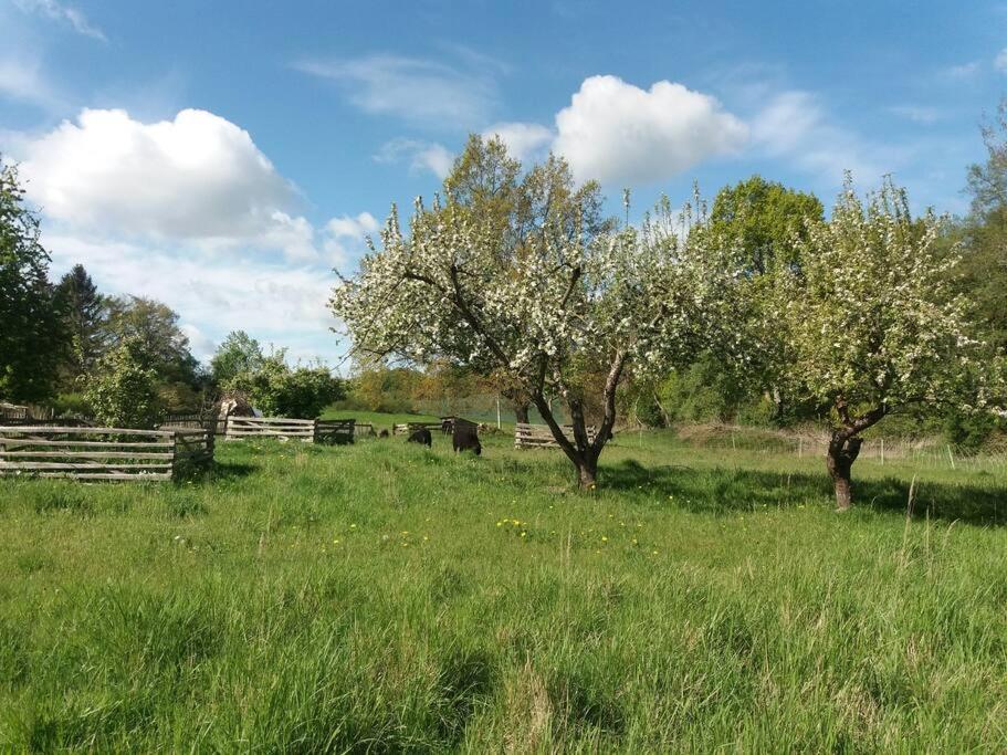 Moderne Wohnung Im Herzen Der Natur - Ingo'S Dream Babelin Buitenkant foto